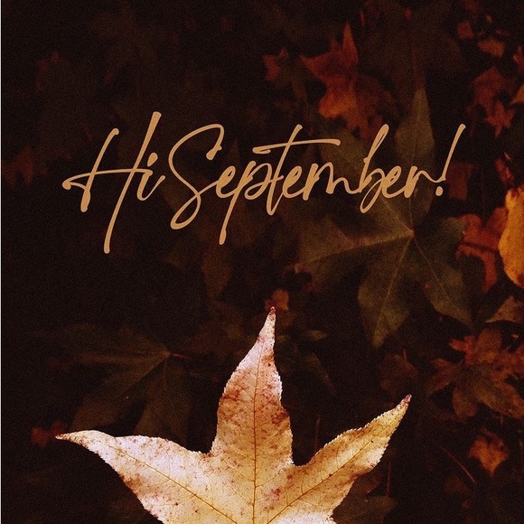 Meet your Posher, Deedee - Picture 2 of 3